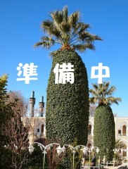 若林 啓史 顔写真
