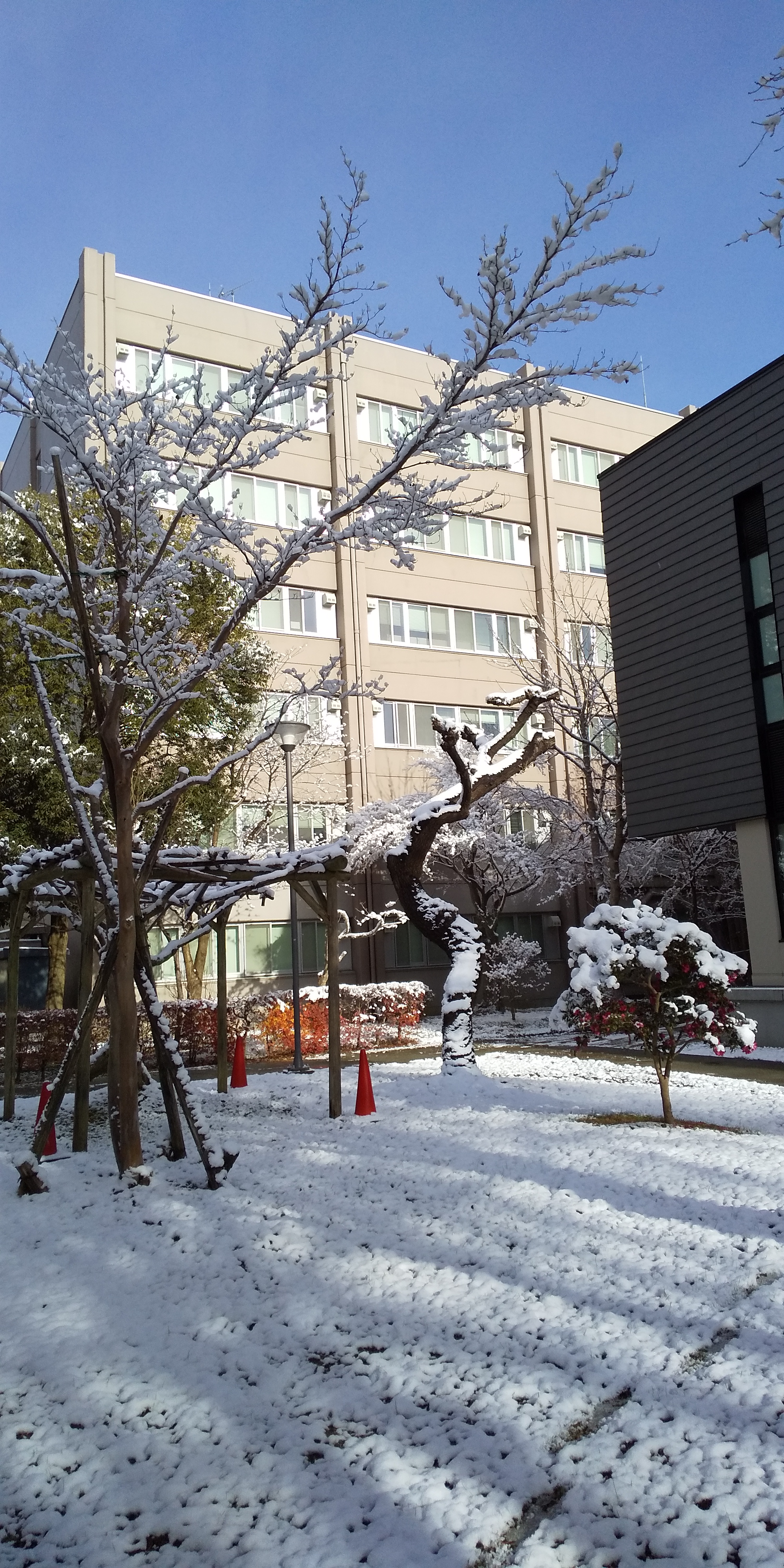 川内の雪景色（2020.12）5