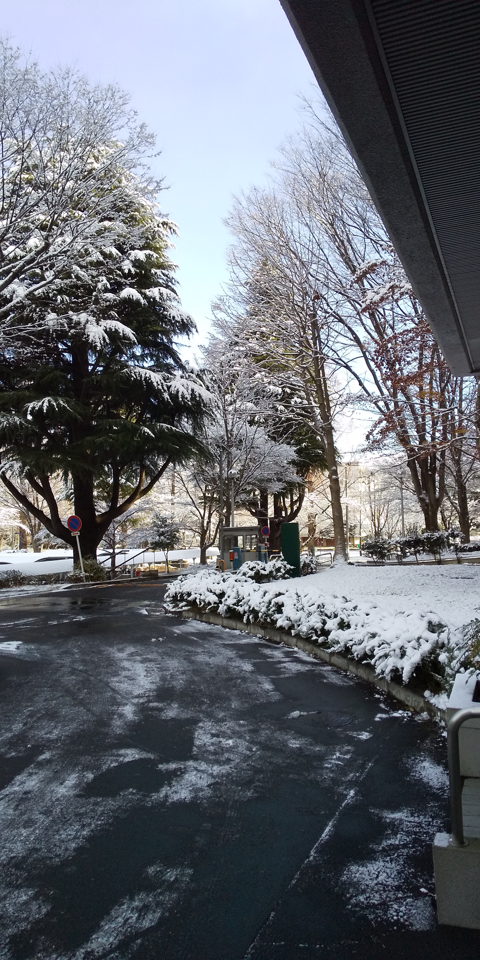 川内の雪景色（2020.12）6
